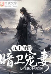九王爷的暗卫宠妻小说